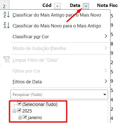 Filtrando Datas no Excel