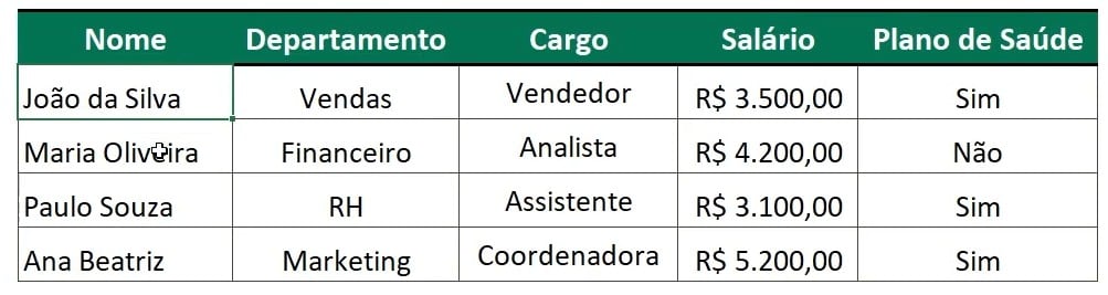 Tabela com o Registro de Funcionário no Excel