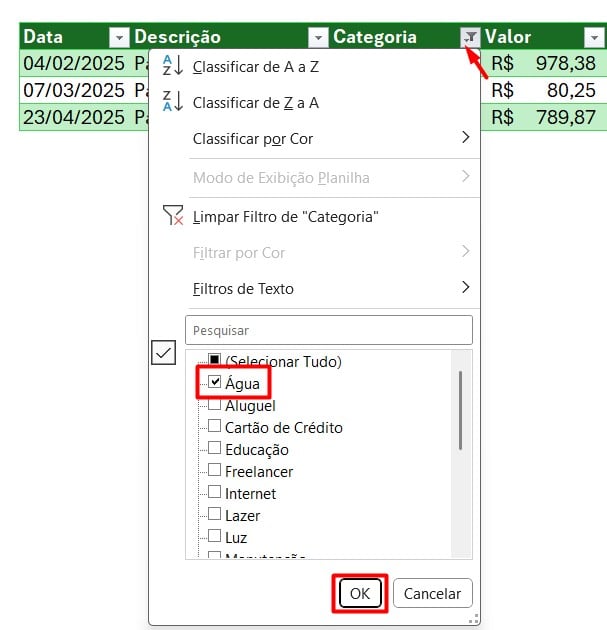 Filtrando Dados na Tabela do Excel