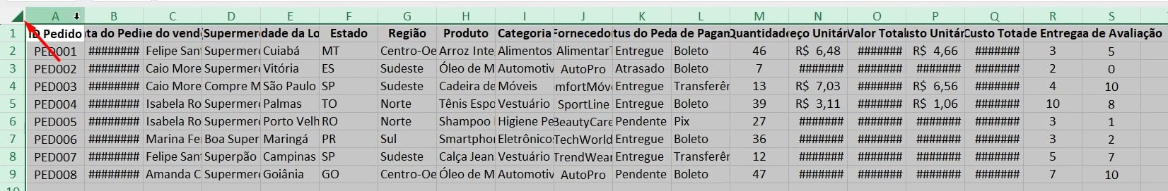 Selecionando Todos os Dados no Excel