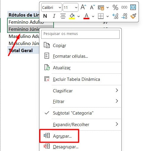 Agrupamento por Categoria no Excel