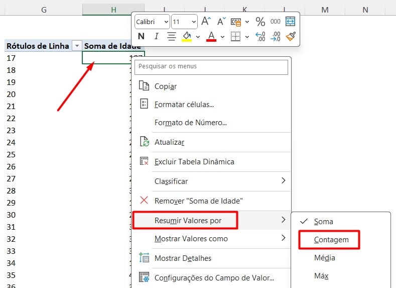 Agrupamento por Idade no Excel