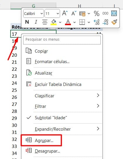 Agrupamento por Idade no Excel